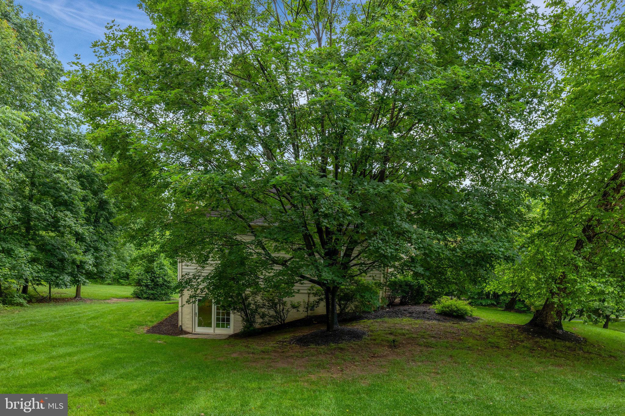 GREAT FALLS WOODS - Residential