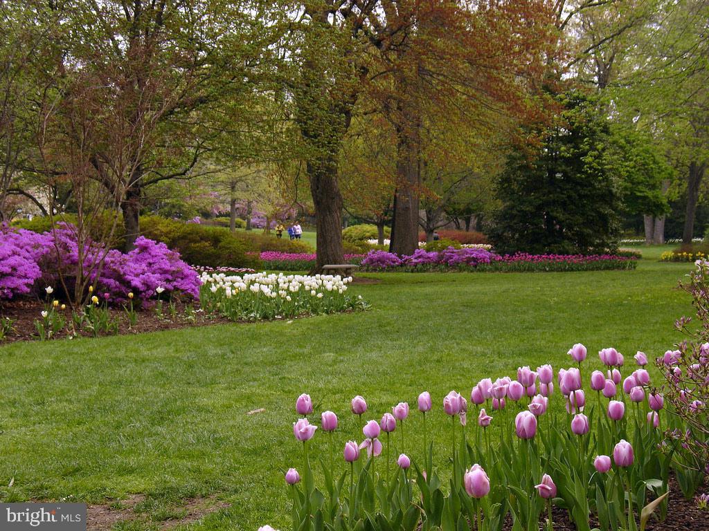 ROLAND PARK - Residential