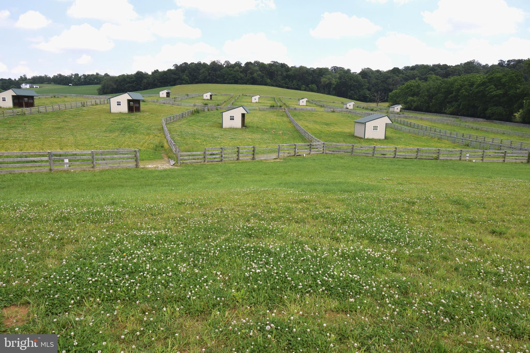 NONE AVAILABLE - Farm