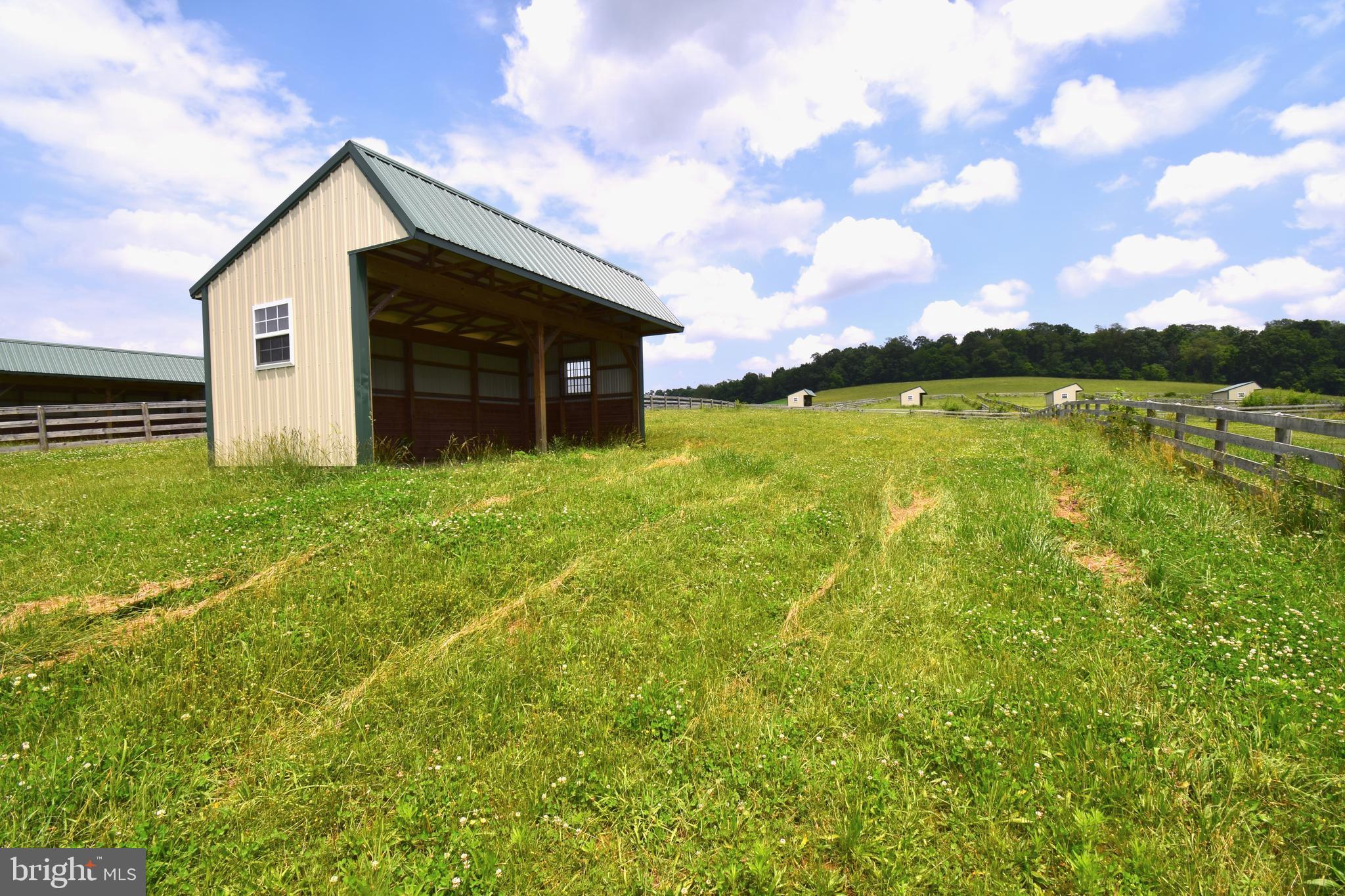 NONE AVAILABLE - Farm