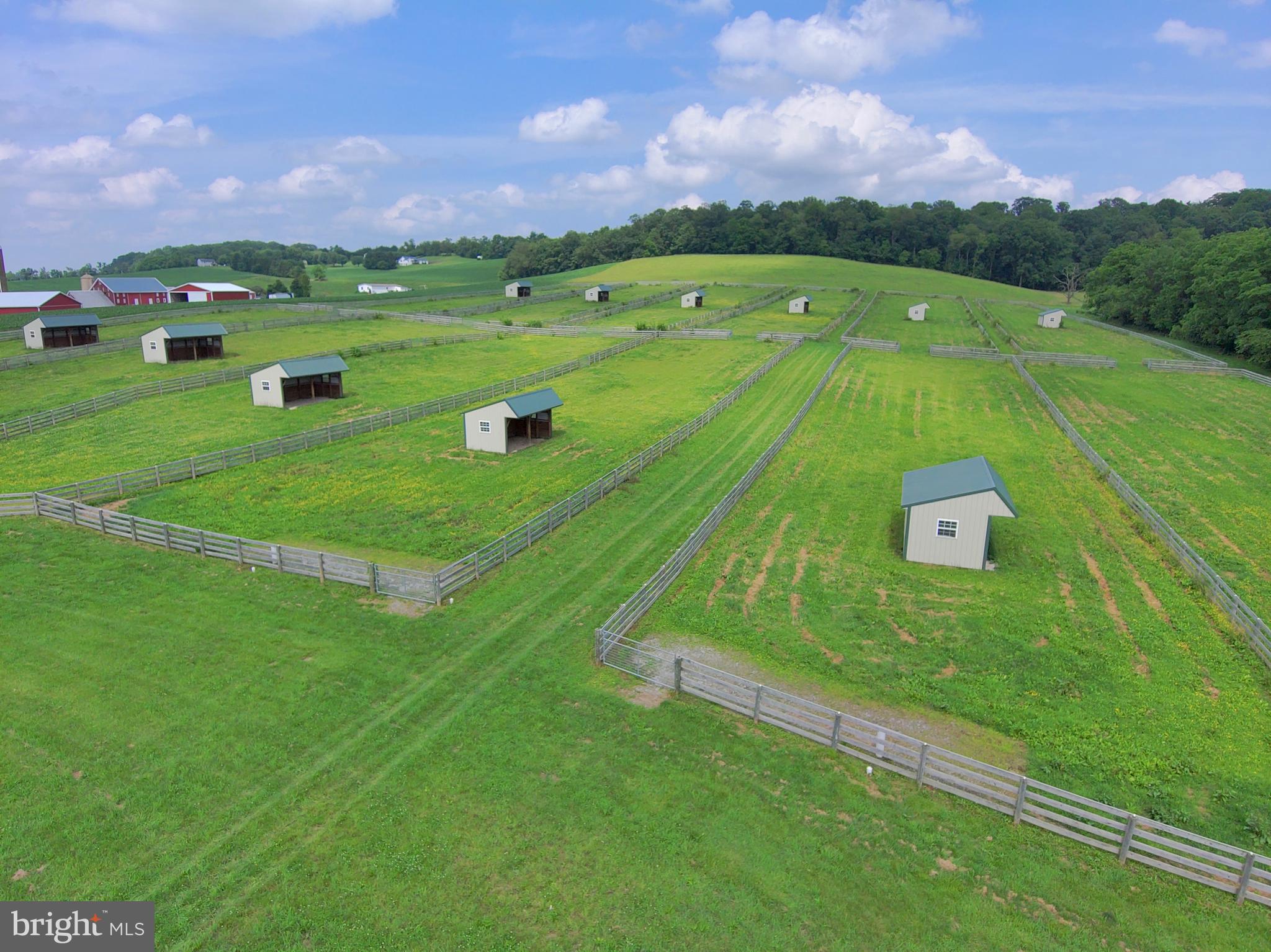 NONE AVAILABLE - Farm