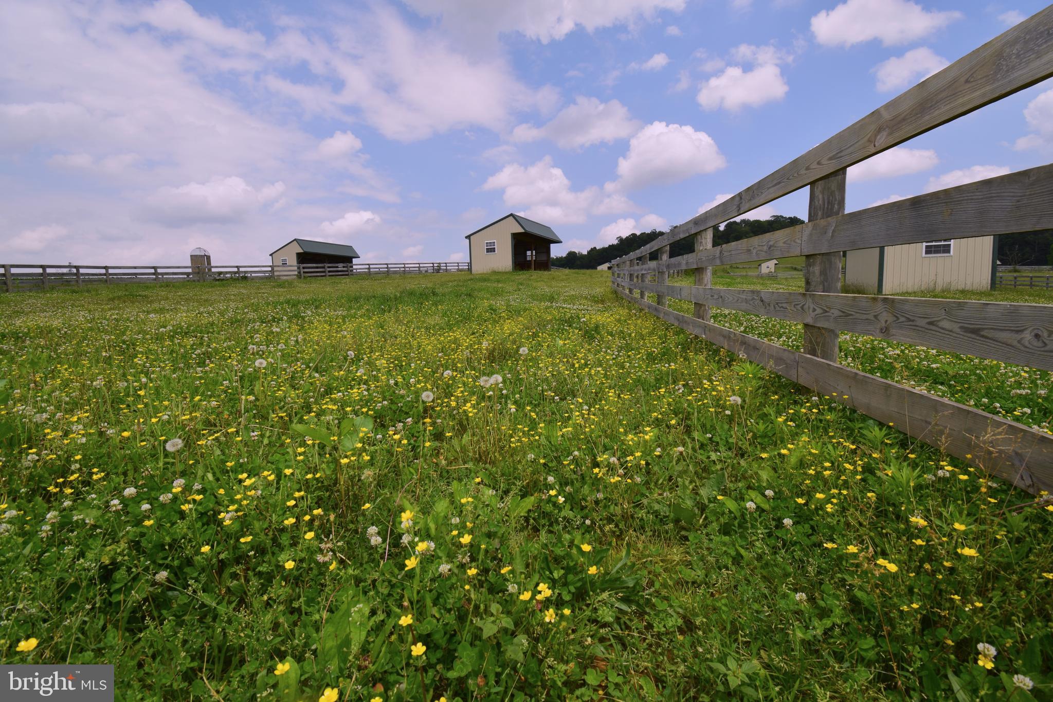 NONE AVAILABLE - Farm