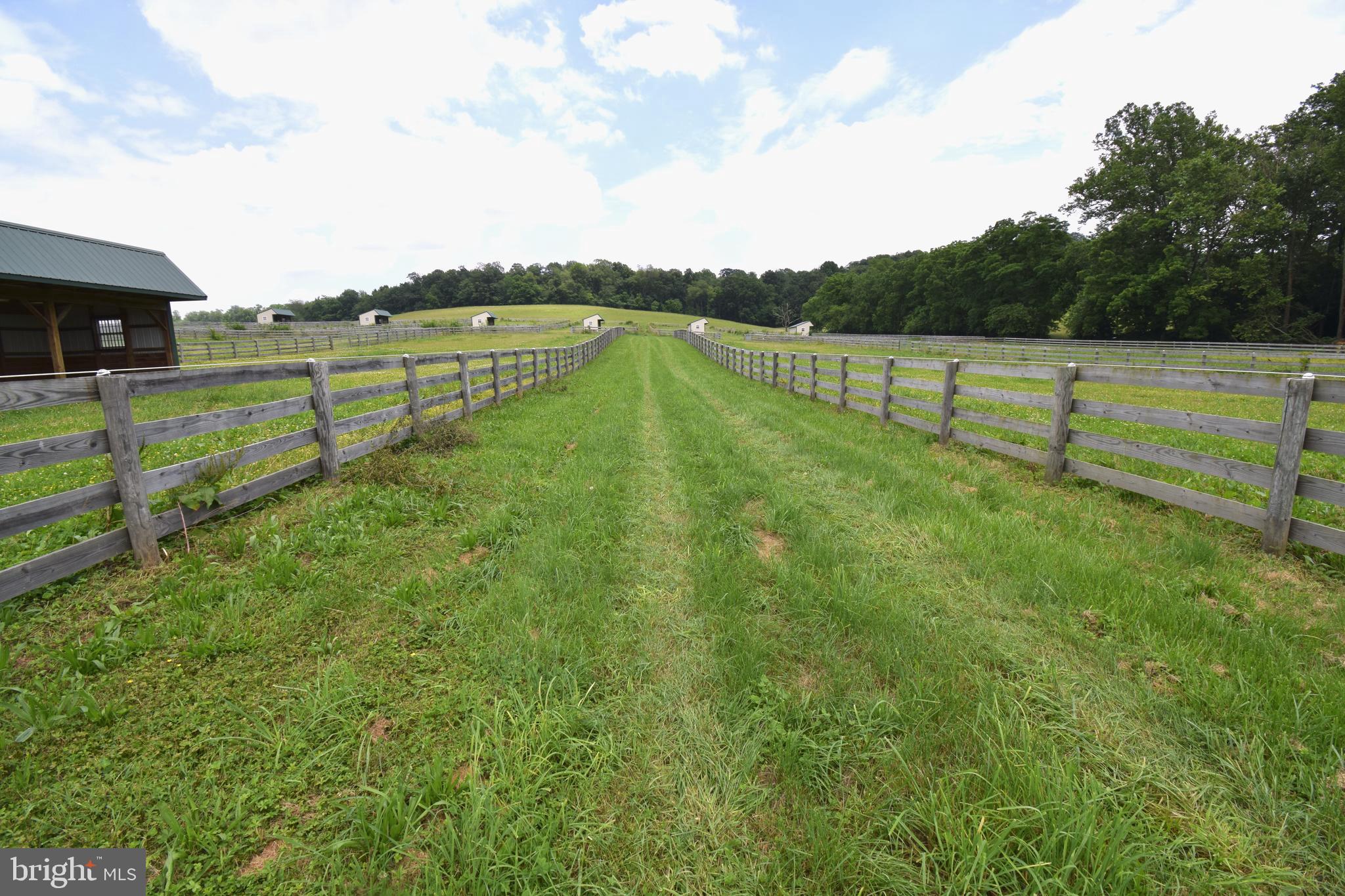 NONE AVAILABLE - Farm