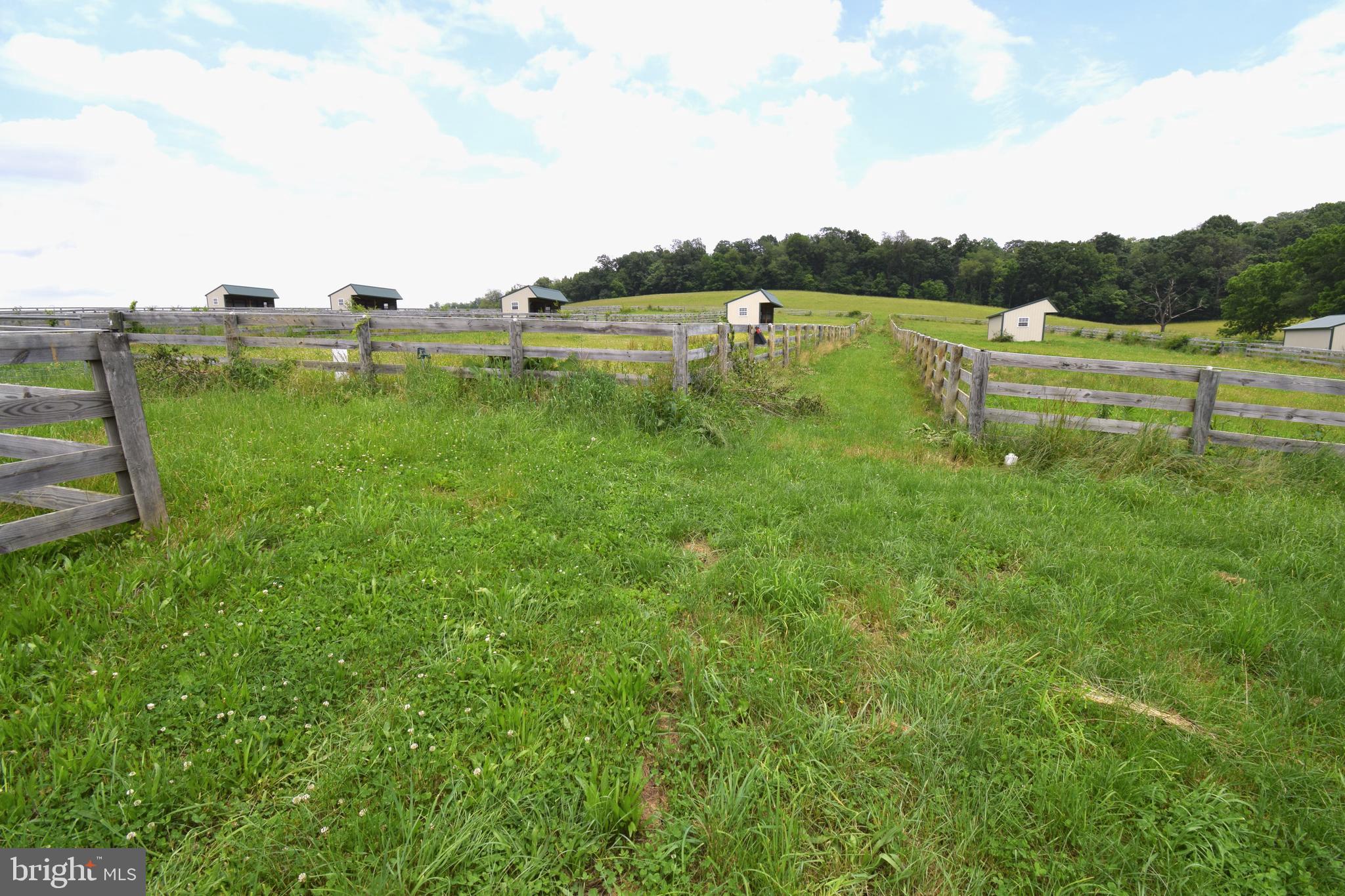 NONE AVAILABLE - Farm