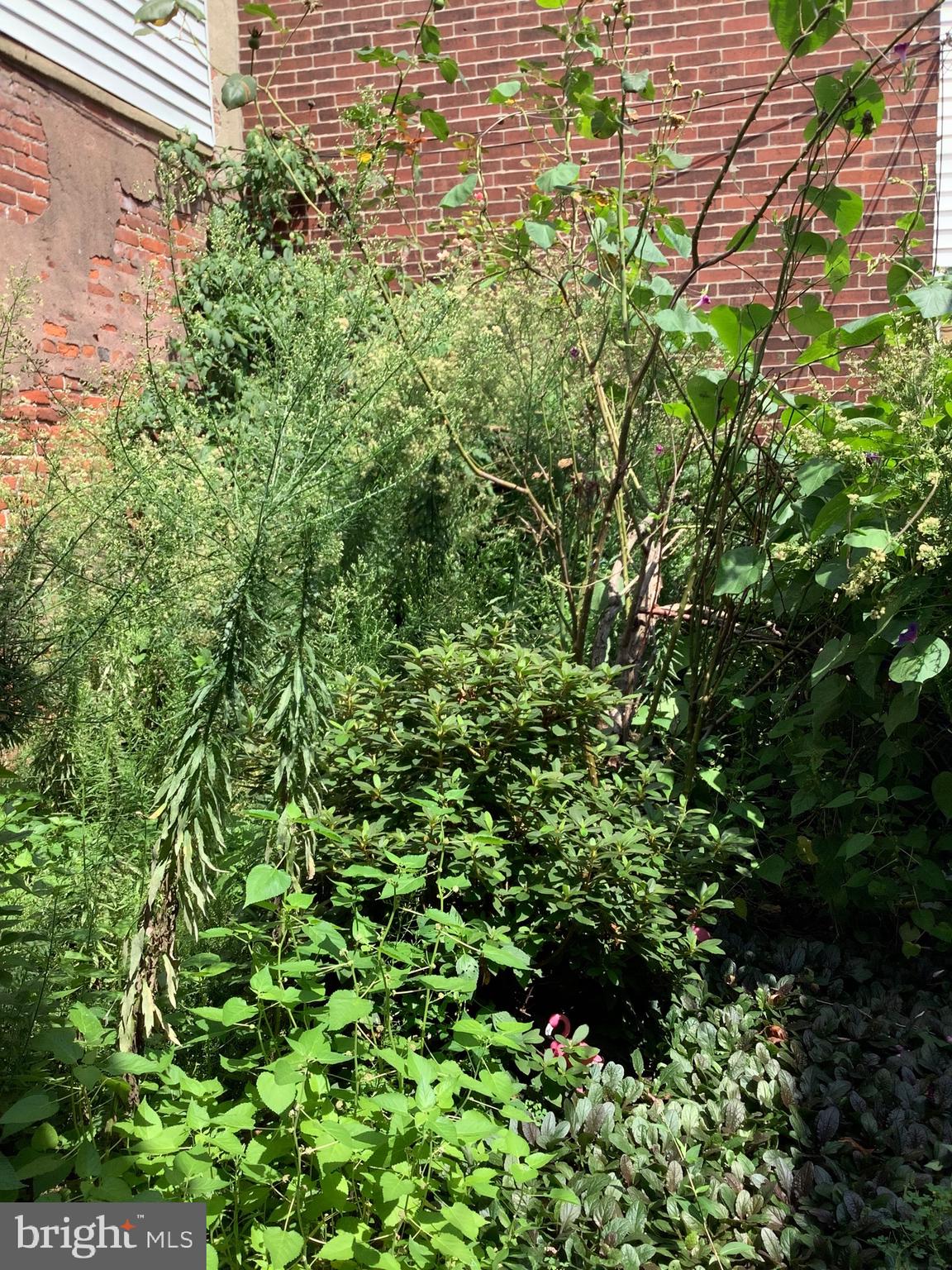 PHILADELPHIA (SOUTH) - Residential