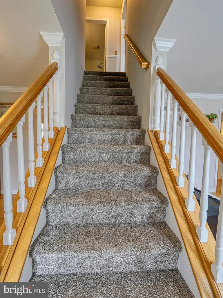 Lewes, Delaware 19958, United States, 4 Bedrooms Bedrooms, ,3 BathroomsBathrooms,Residential,Contingent,104429