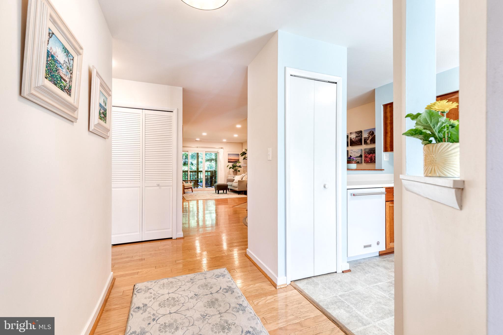 9425 HICKORY LIMB 105