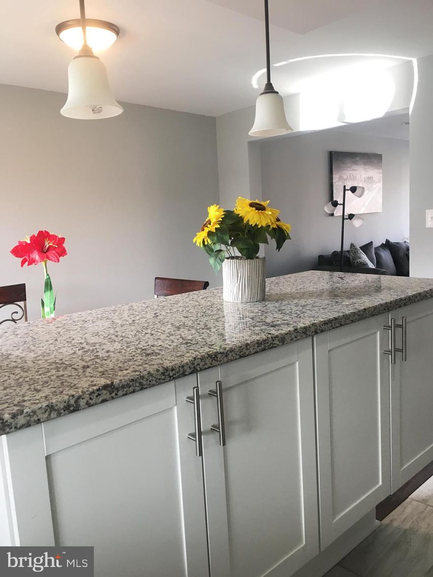 Great opportunity to make this beautiful 3 B/R 2 Full bath your own. Everything is new, new roof, new windows, new electric, new plumbing, new kitchen, new appliances, new bathrooms and so much more.    Property is currently under construction so you still have time to pick the color of your paint, tile, granite counters, etc.  If you are truly looking for a quality renovation that you can put your own touches on this one is for you.  .

PICTURES ARE REPRESENTATIVE OF THE FINISHED PRODUCT AND ARE NOT THE ACTUAL FINISHED PRODUCT