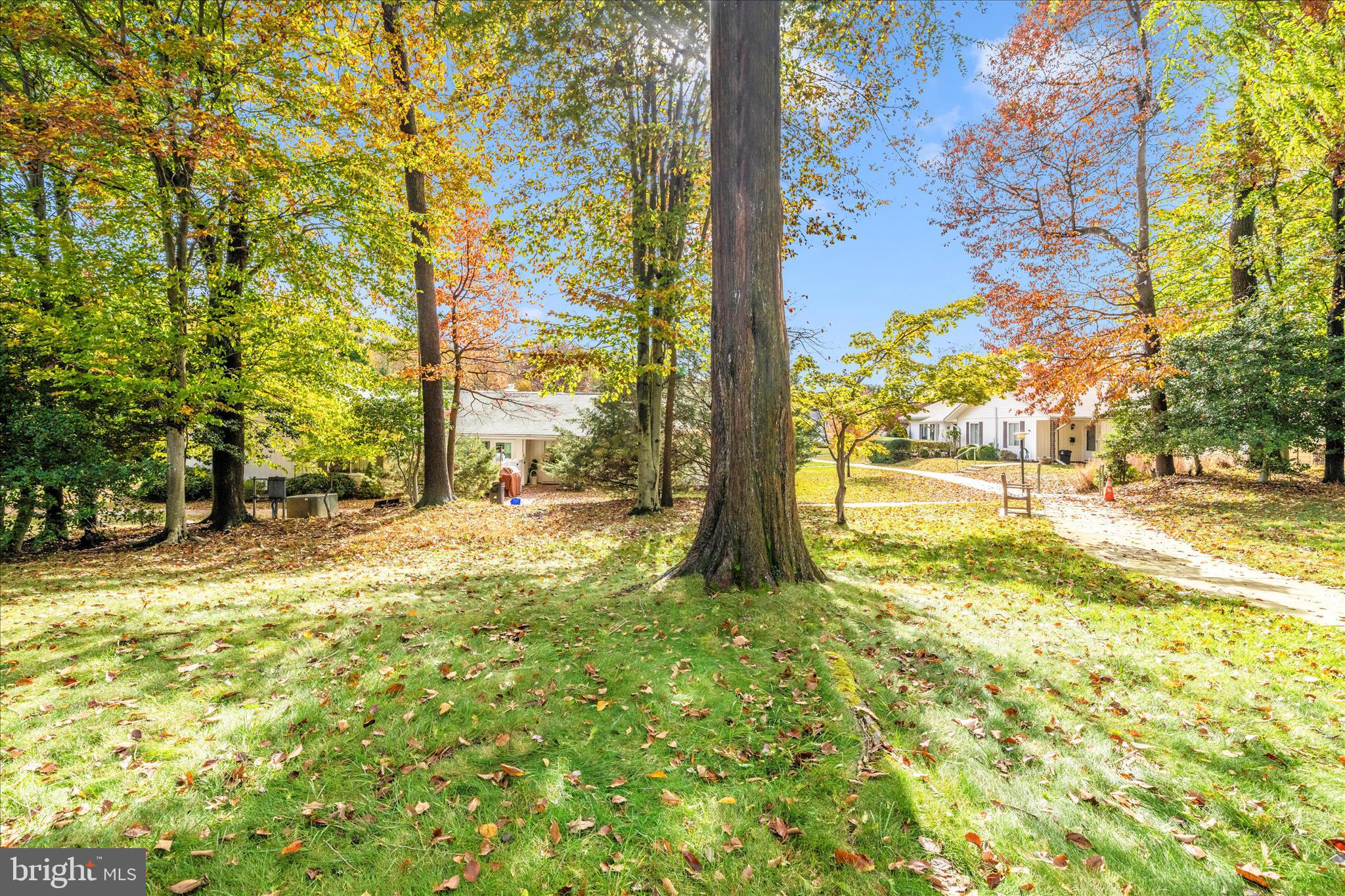 ROSSMOOR MUTUAL #11 - Residential