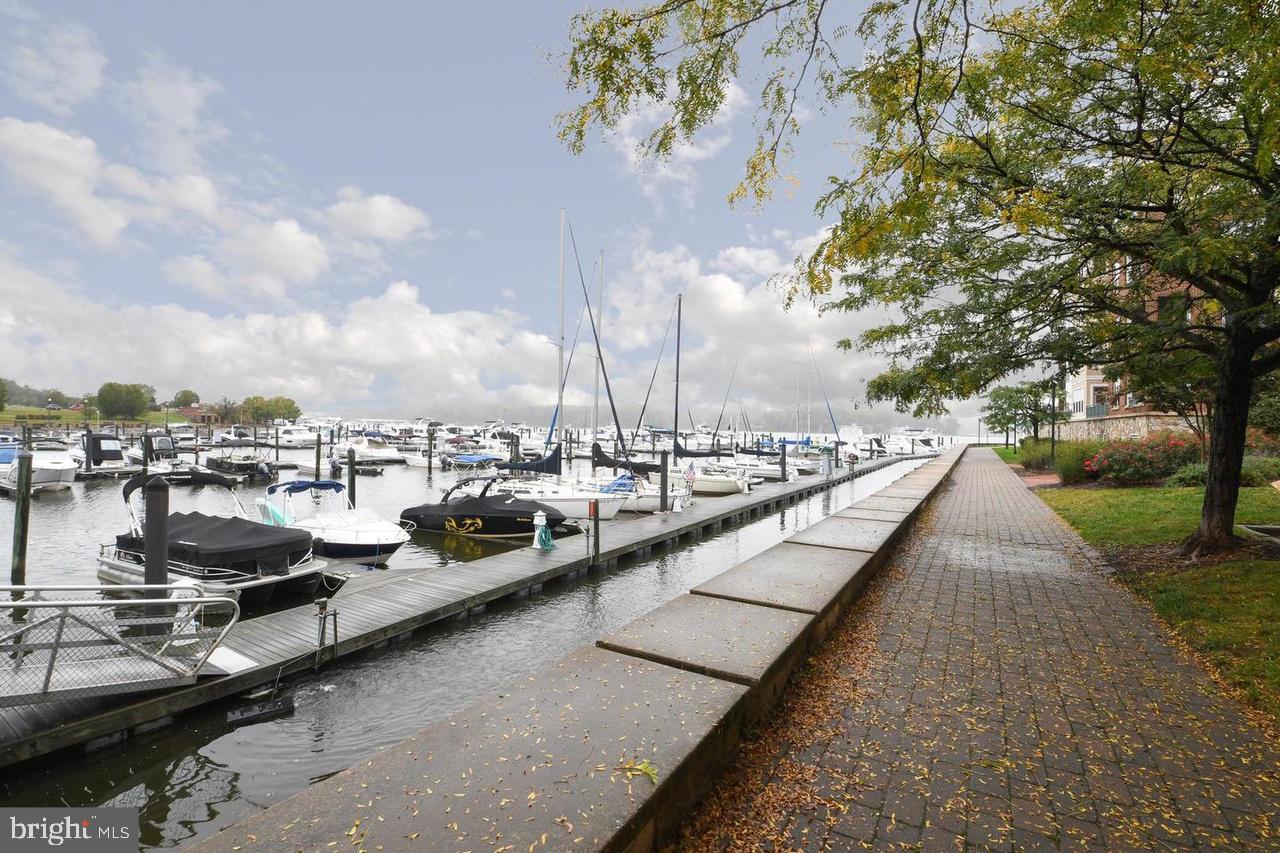 BELMONT BAY - Residential Lease