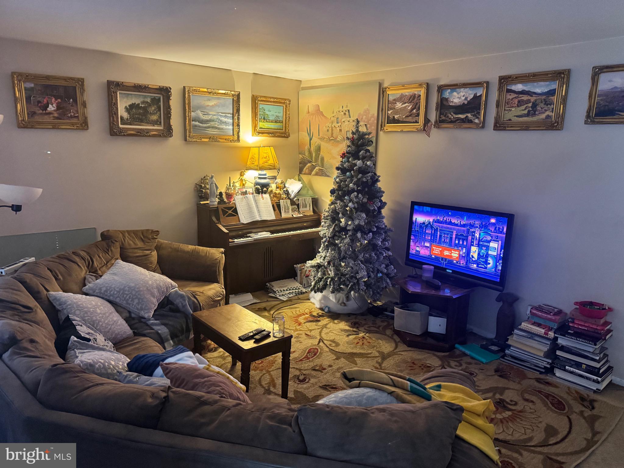 BUENA VISTA PARK - Residential