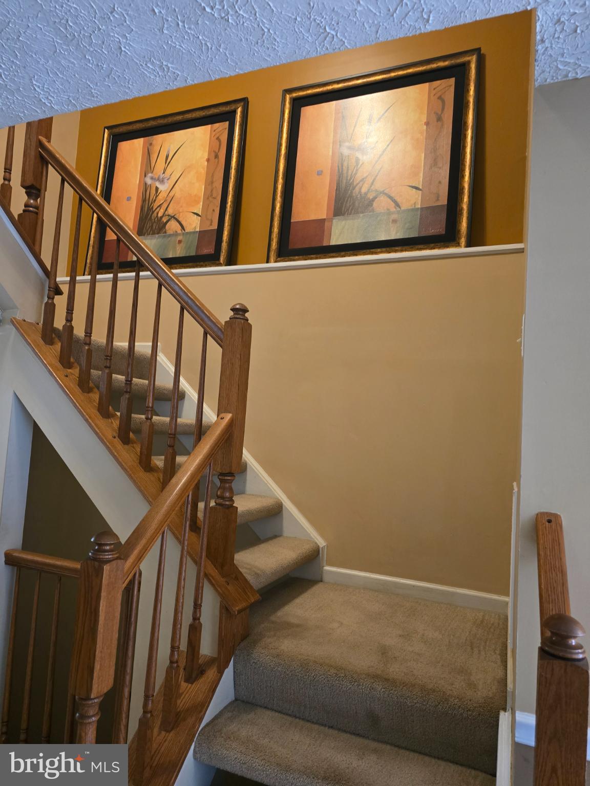 STUART MECHANIC - Residential Lease