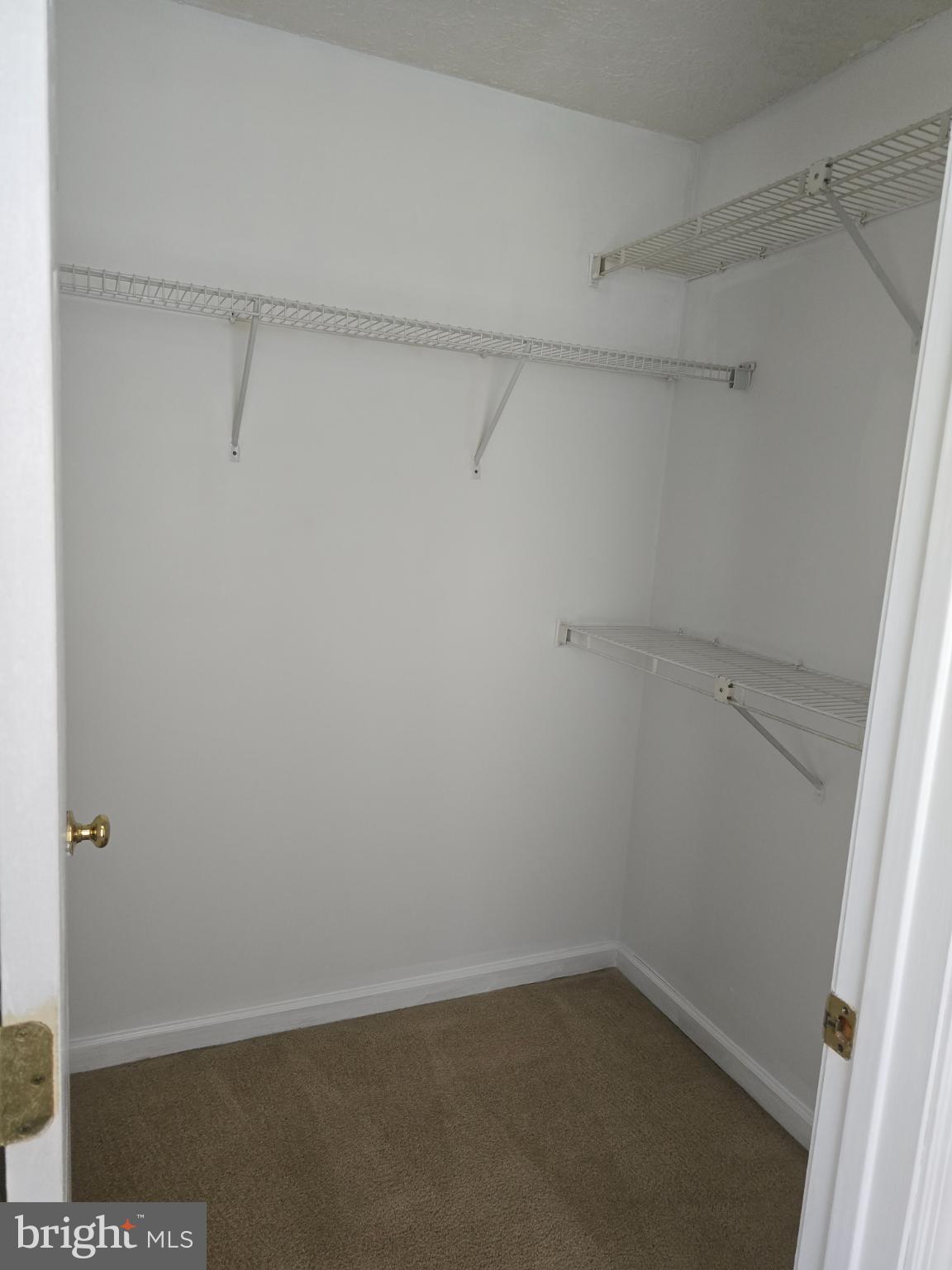 STUART MECHANIC - Residential Lease