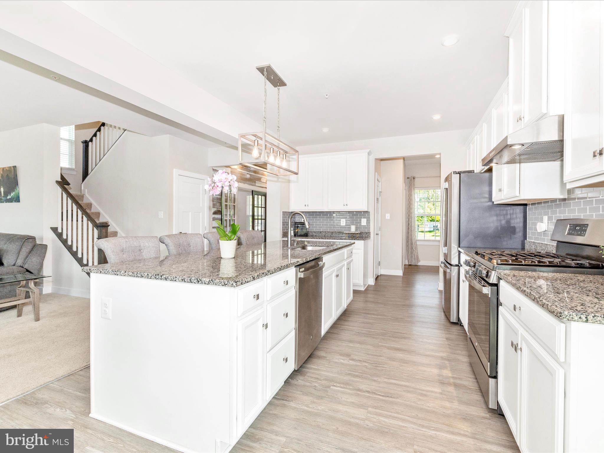 SPRING VIEW ESTATES - Residential