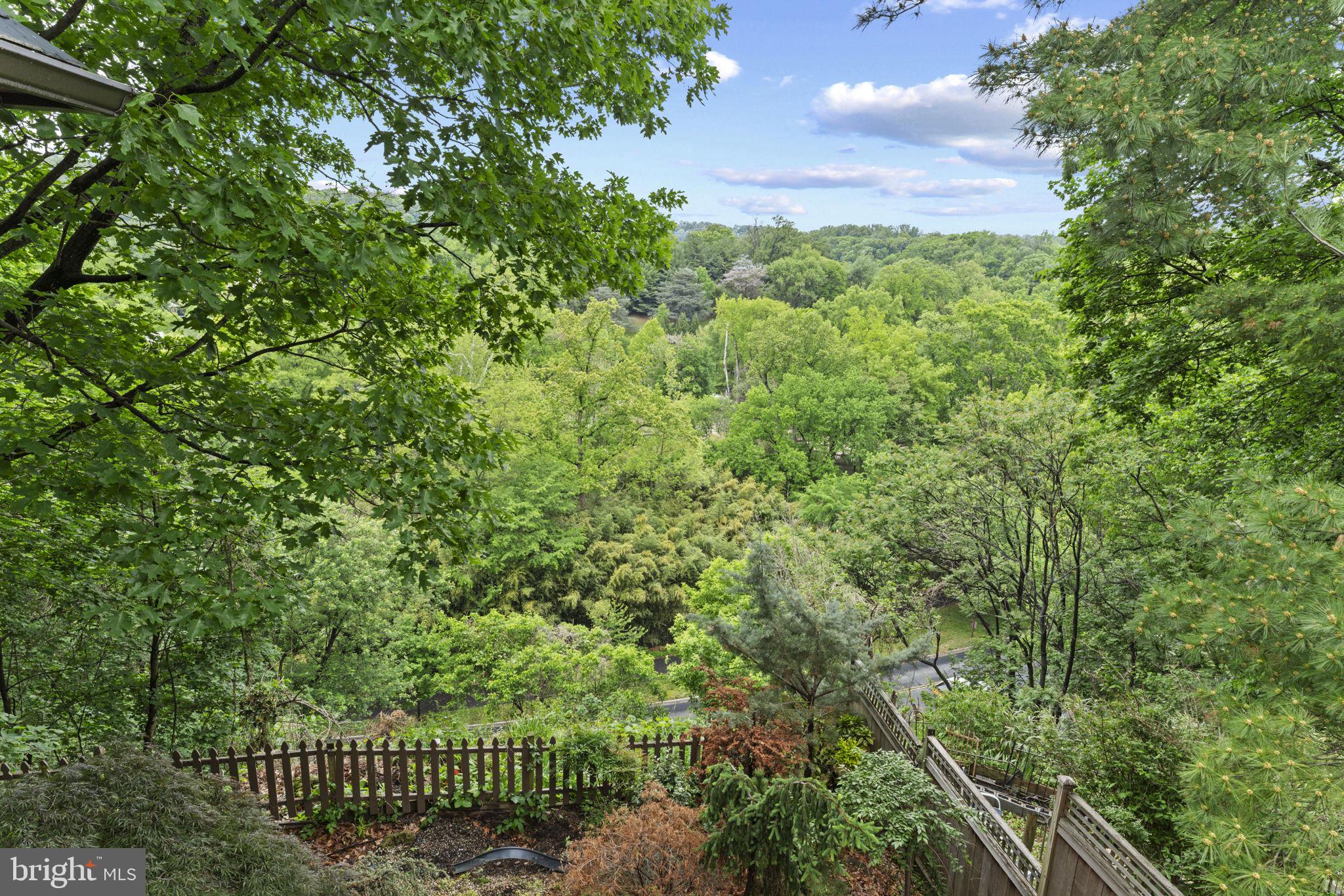 2812 ADAMS MILL ROAD NW