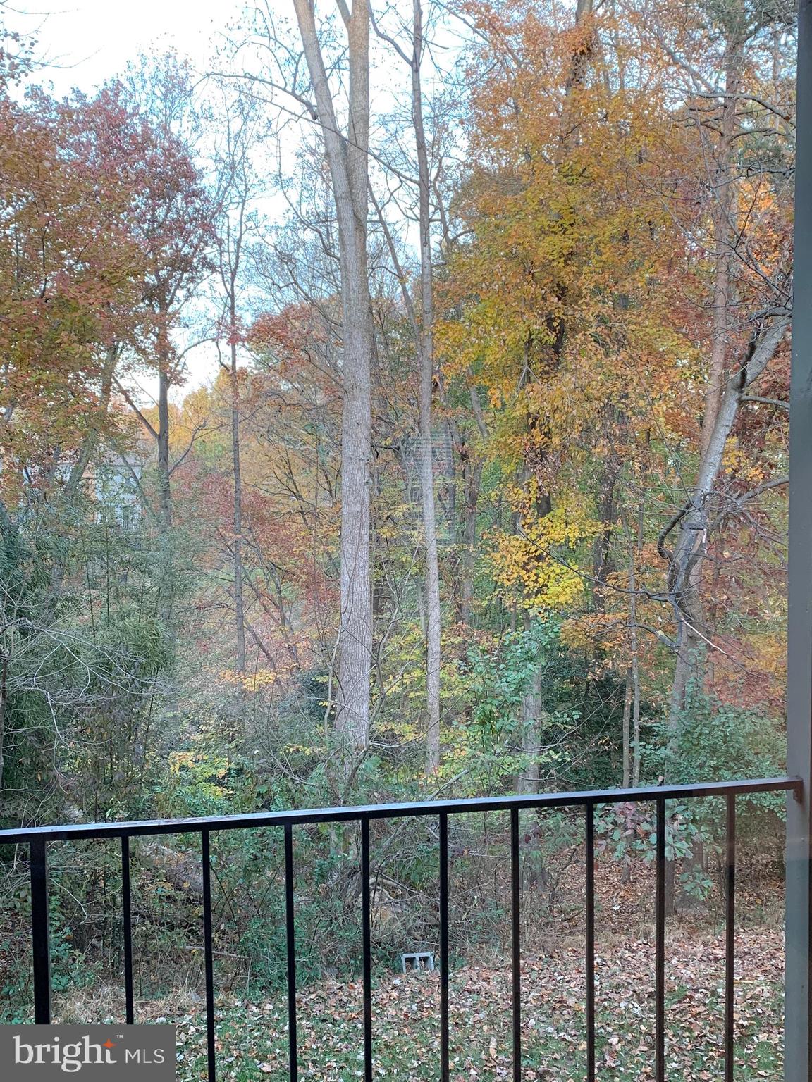 SECOND ANTIETAM - Residential Lease