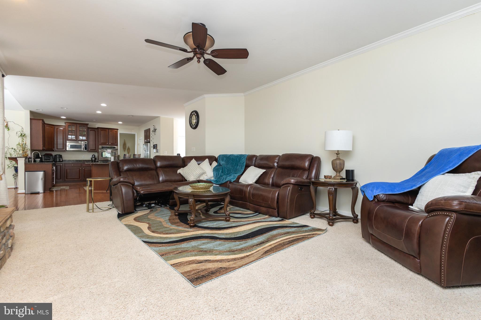 56 NUGENT DRIVE