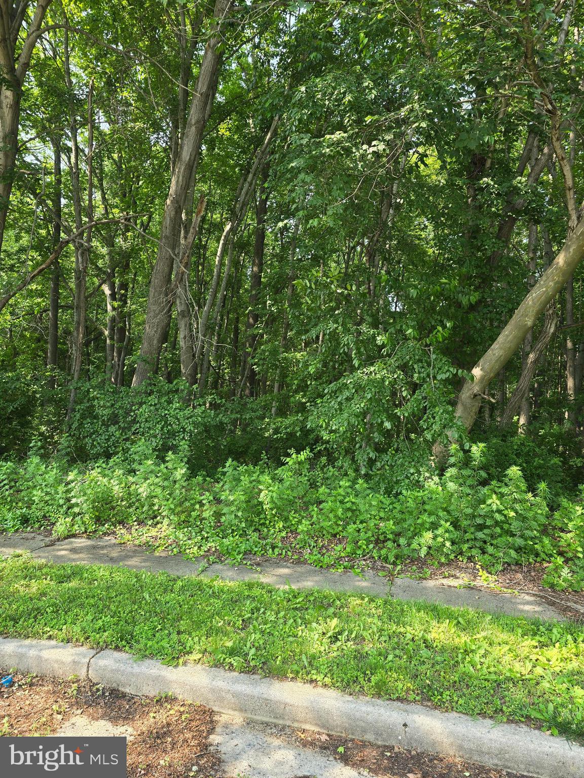 6 E EAST ACKLEY TERR