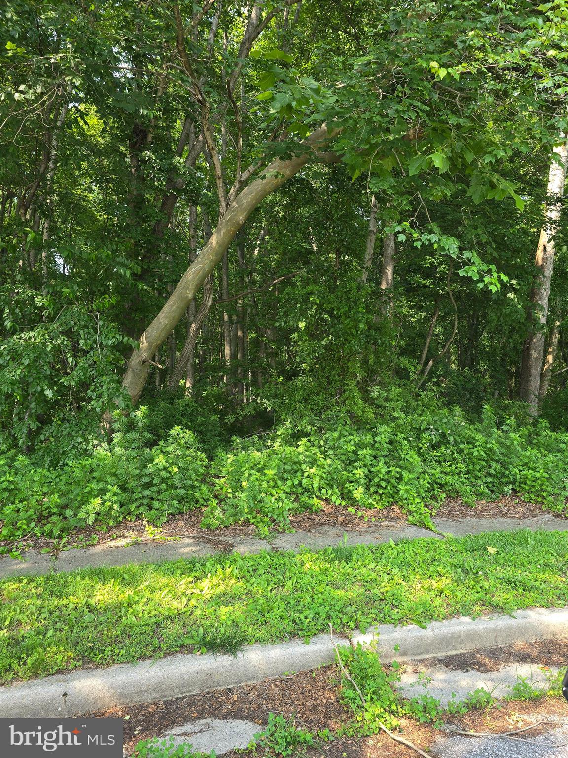 6 E EAST ACKLEY TERR