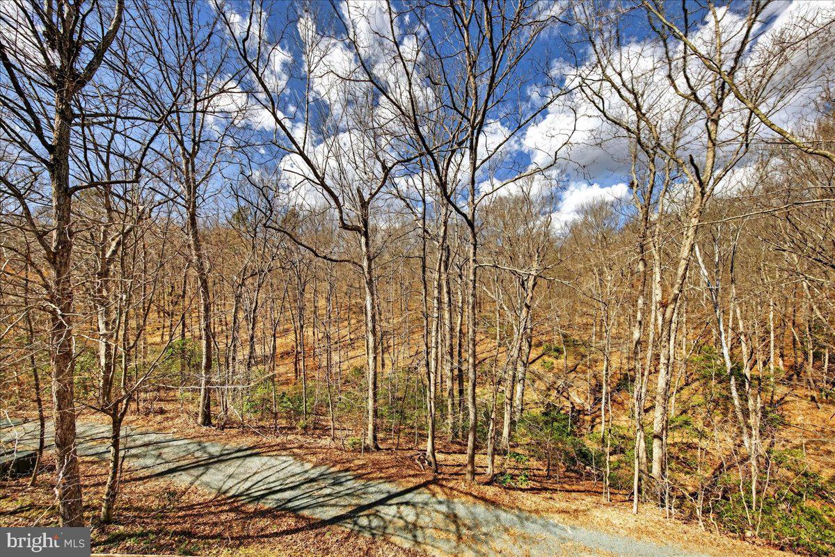 LAKE MONTICELLO - Residential