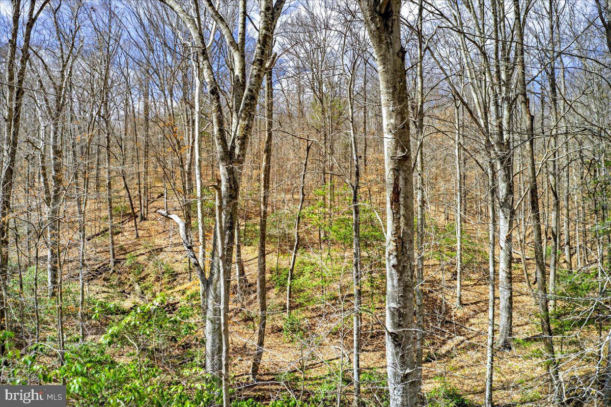 LAKE MONTICELLO - Residential