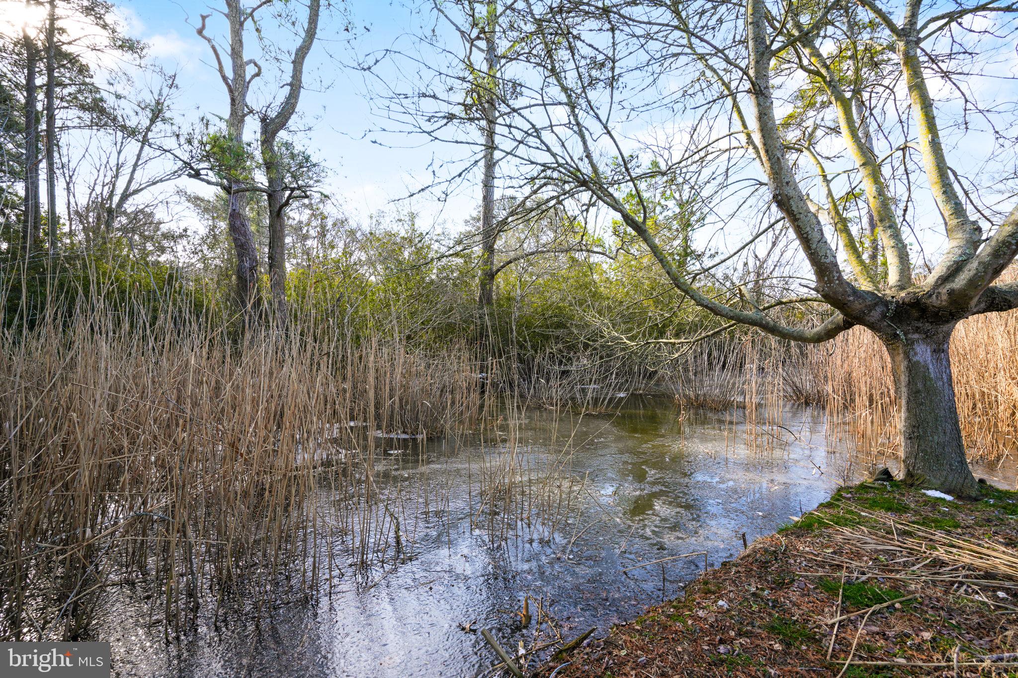 CHINCOTEAGUE - Residential