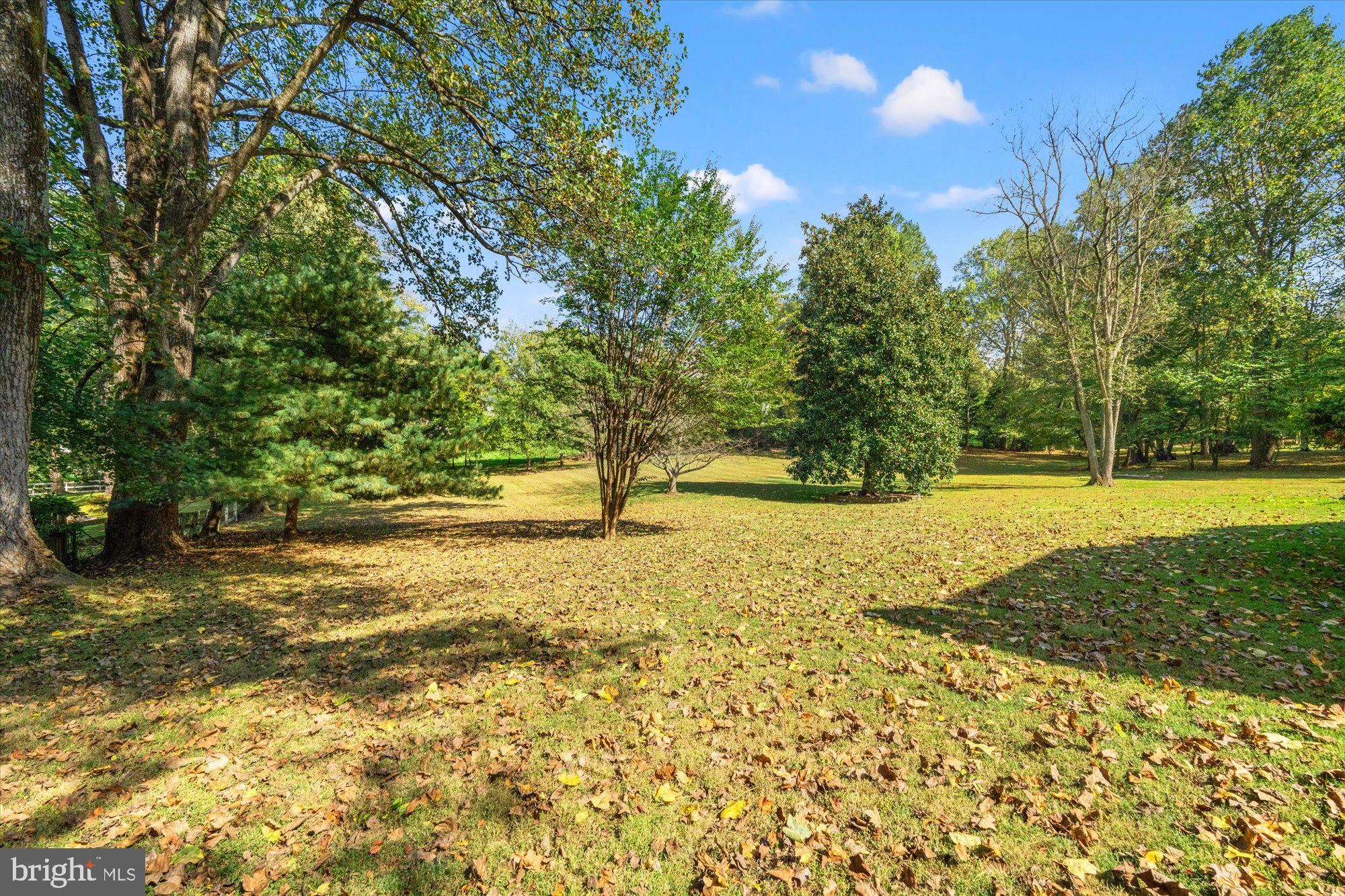 EDELINE MARY A PROP - Residential