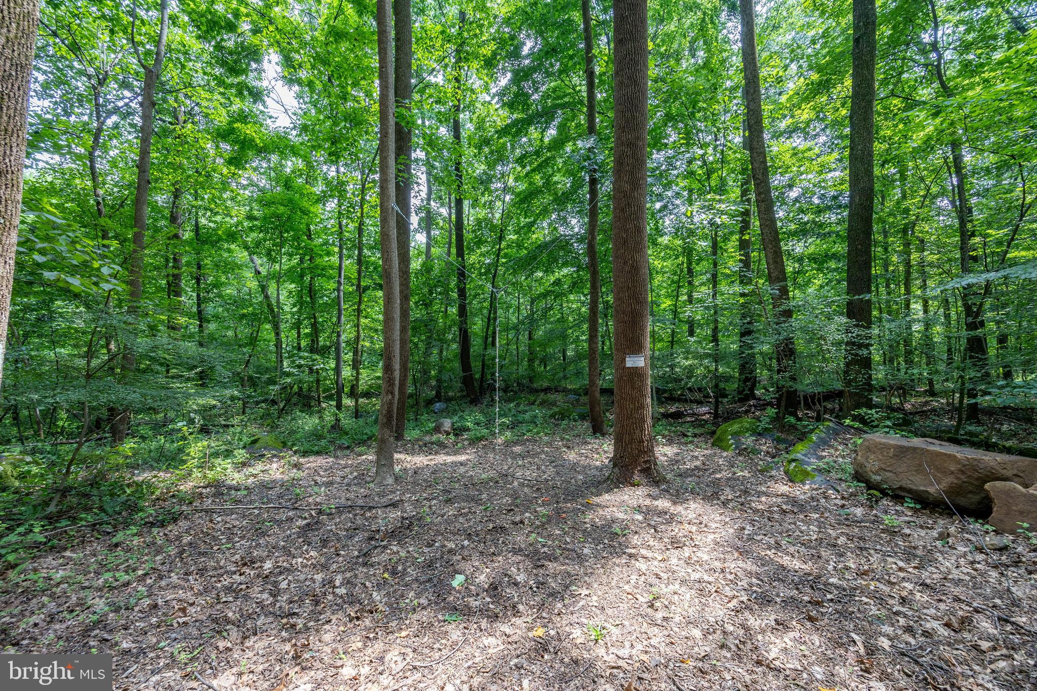 NONE AVAILABLE - Commercial Sale