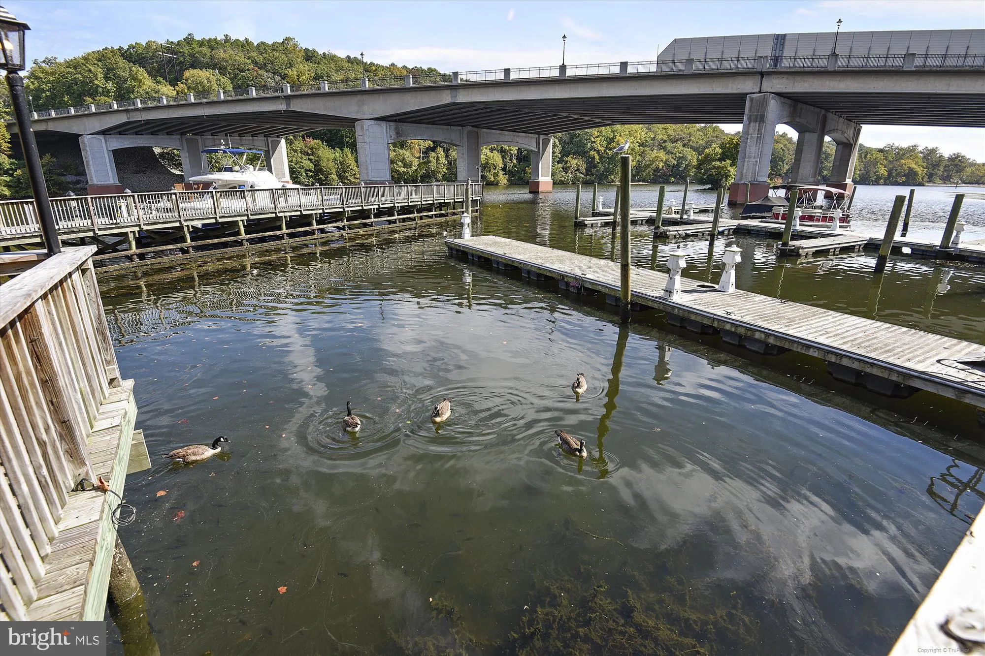 Woodbridge, Virginia 22192, United States, 3 Bedrooms Bedrooms, ,4 BathroomsBathrooms,Residential,Coming Soon,214409