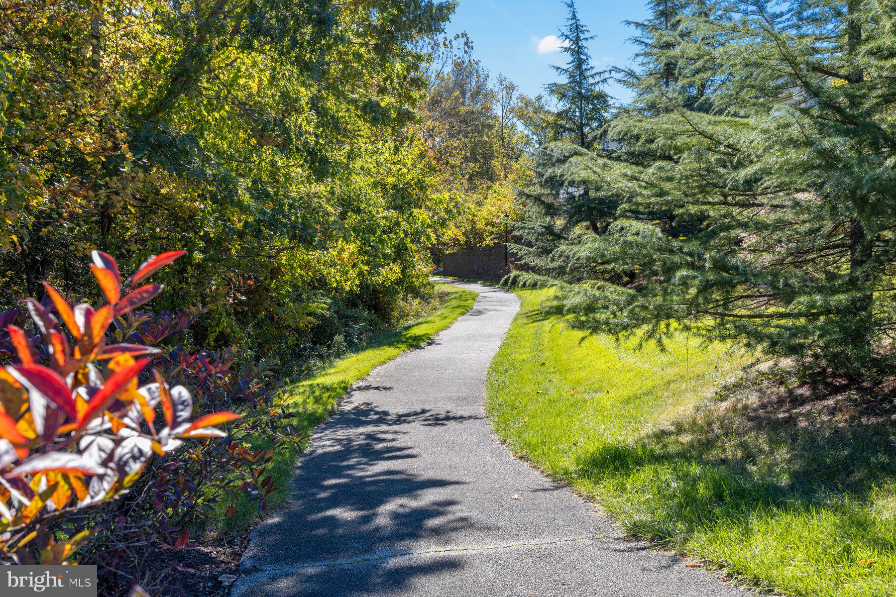 DORCHESTER VIEW - Residential