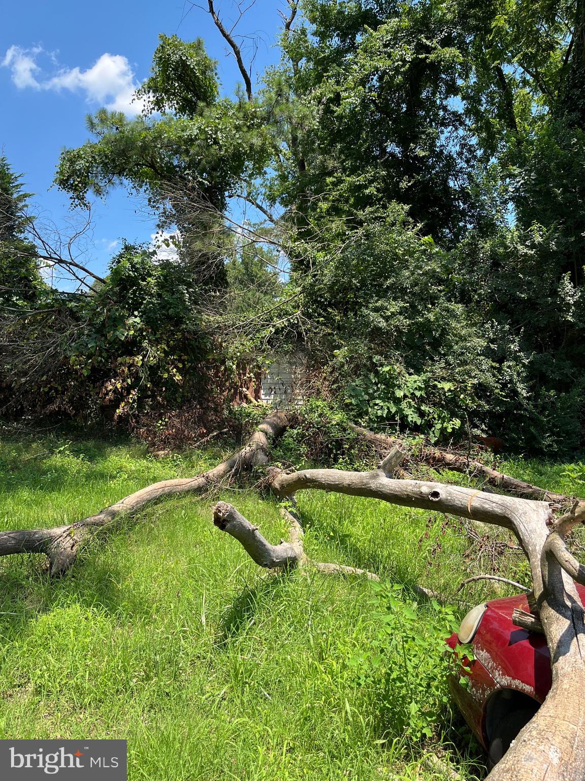 FEATHERSTONE TERRACE - Residential