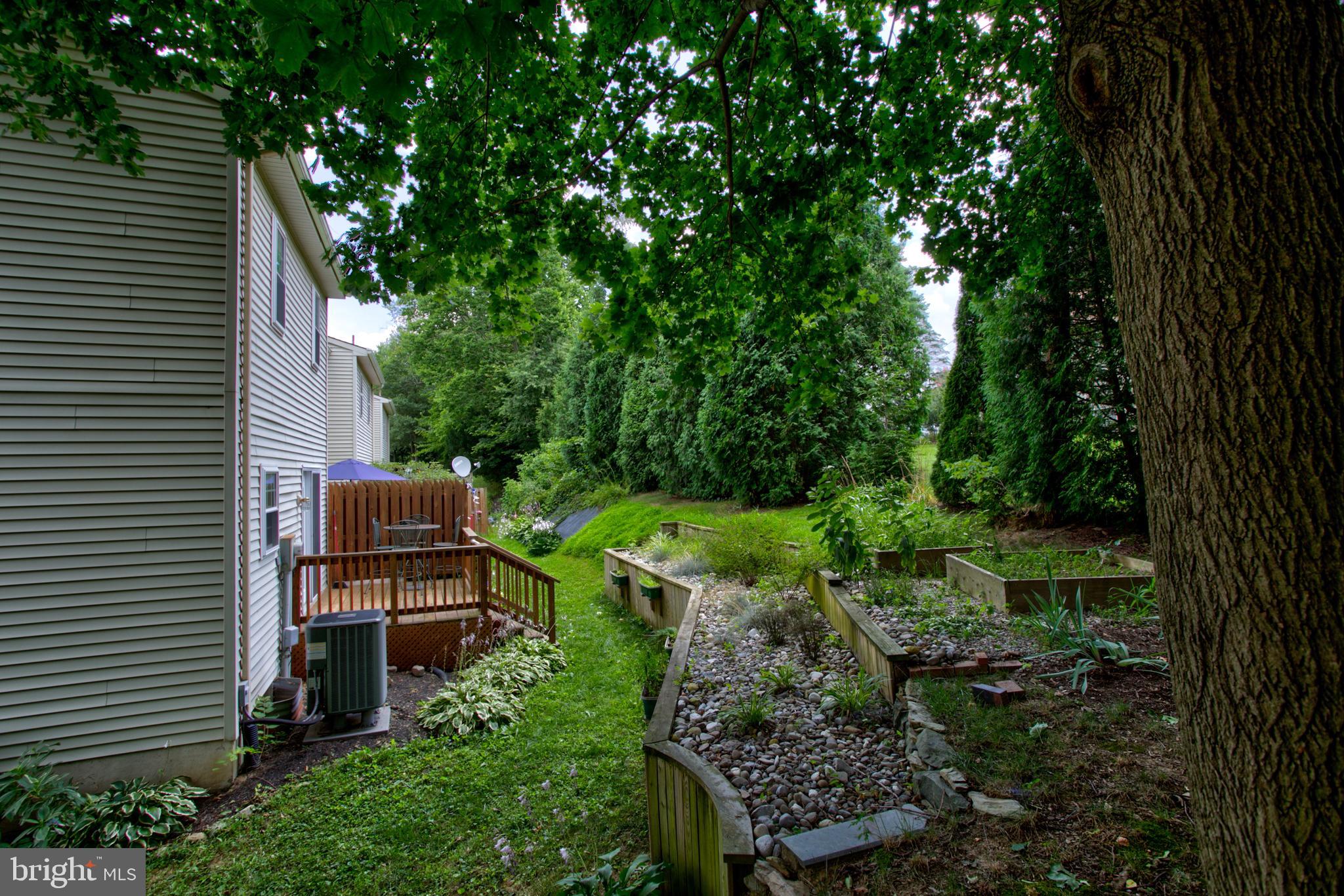 TIMSON HILL - Residential