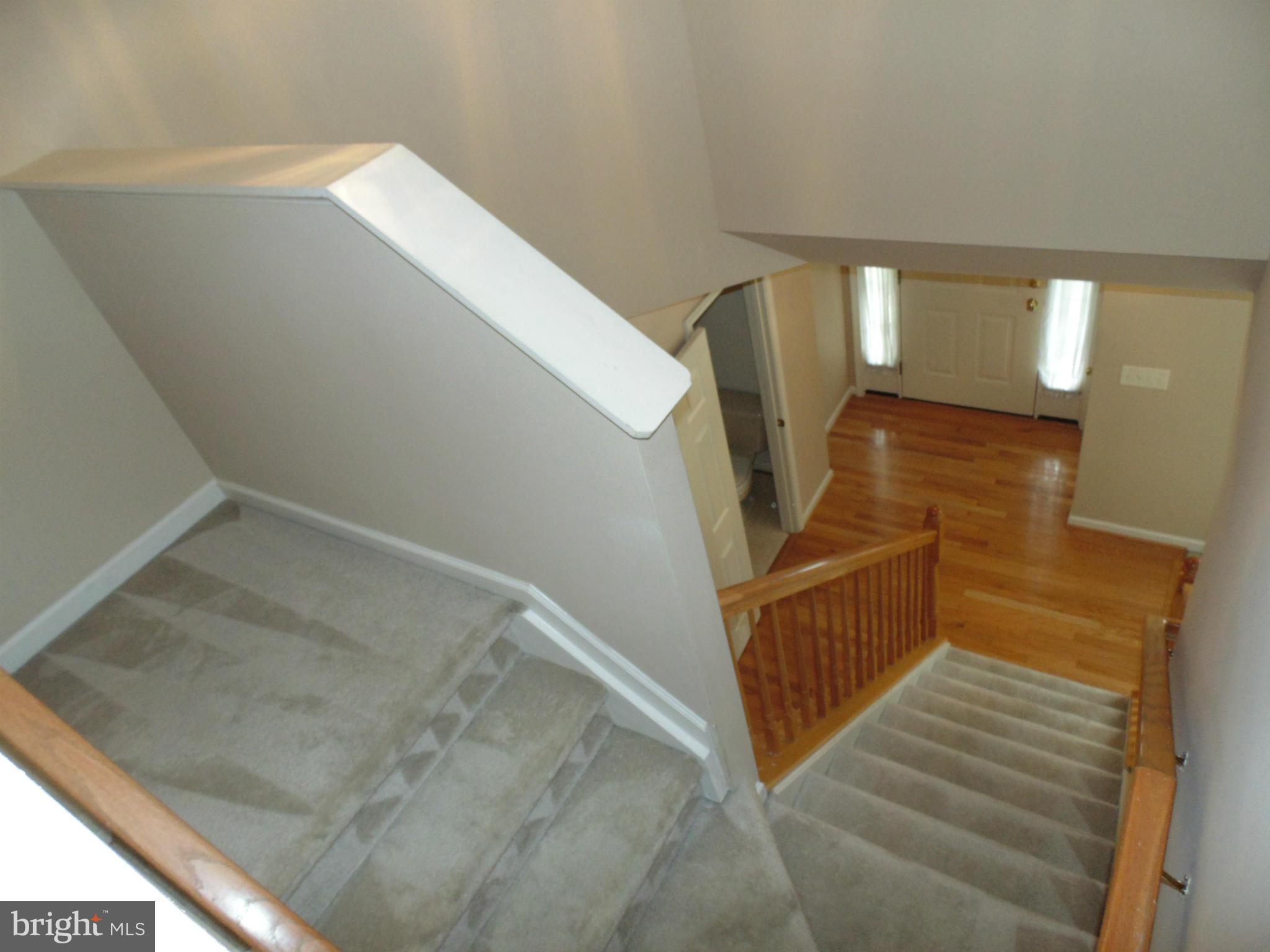 DANIELS PURCHASE - Residential Lease