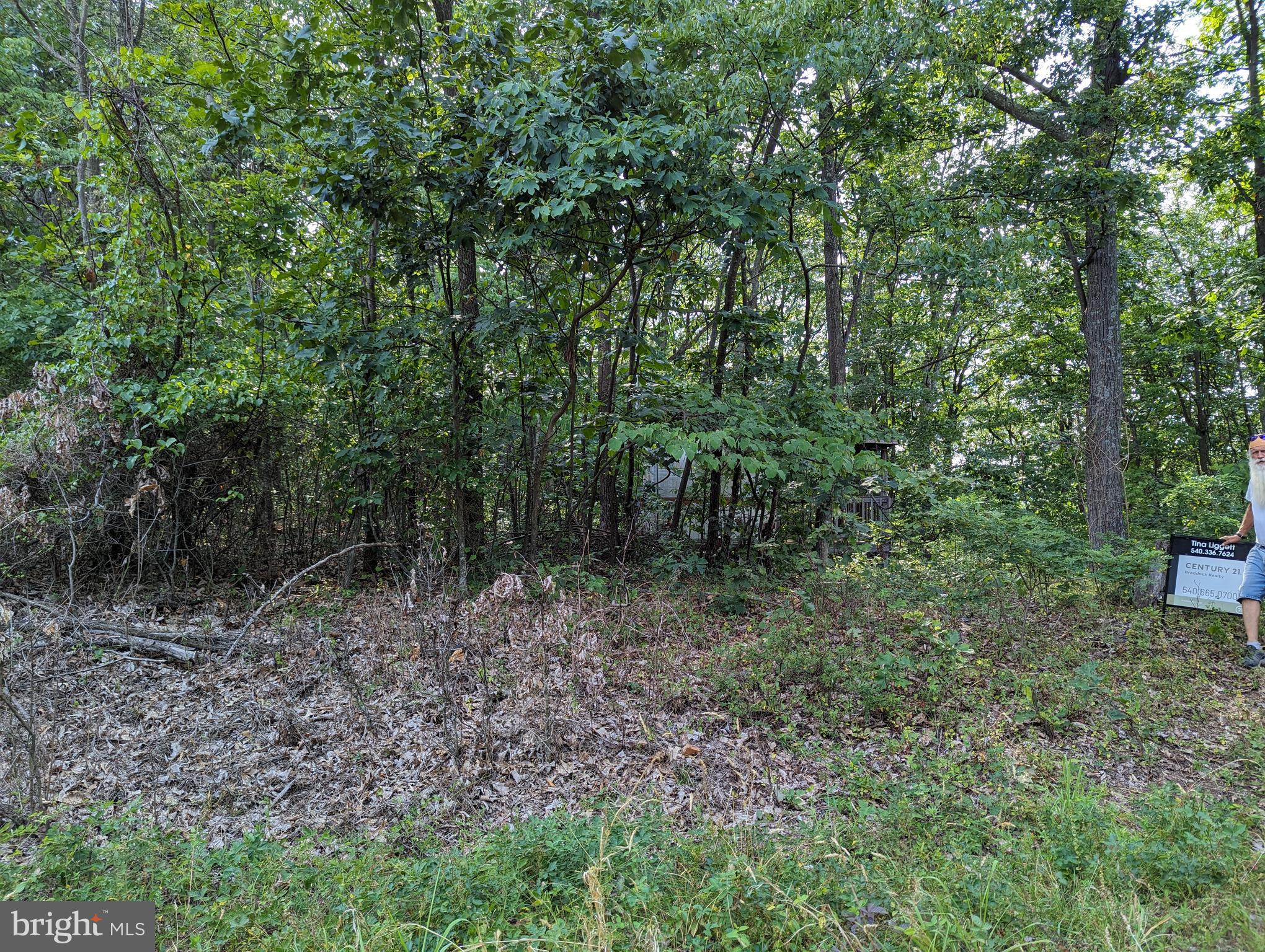 WOODLAND ESTATES - Land