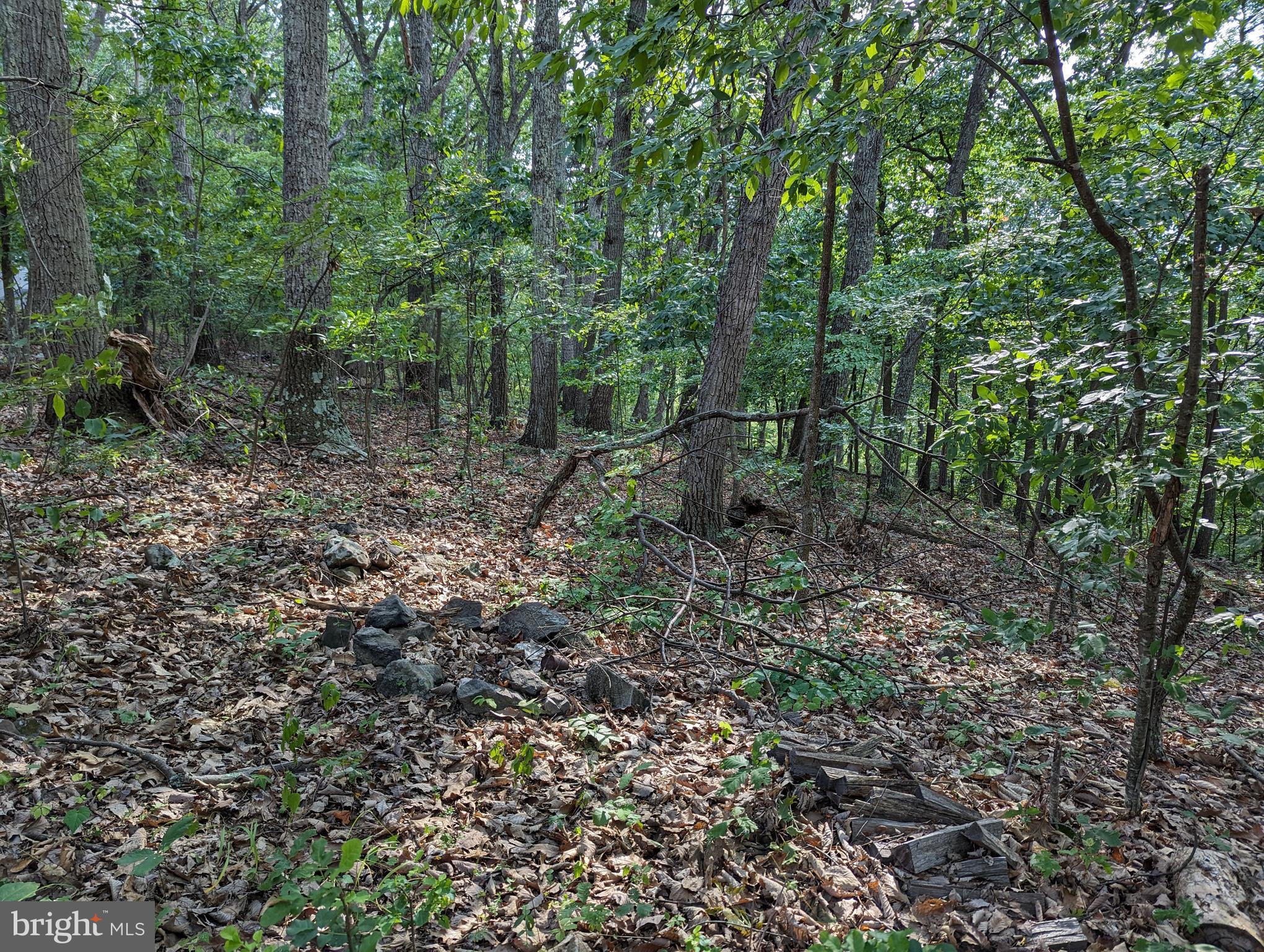 WOODLAND ESTATES - Land