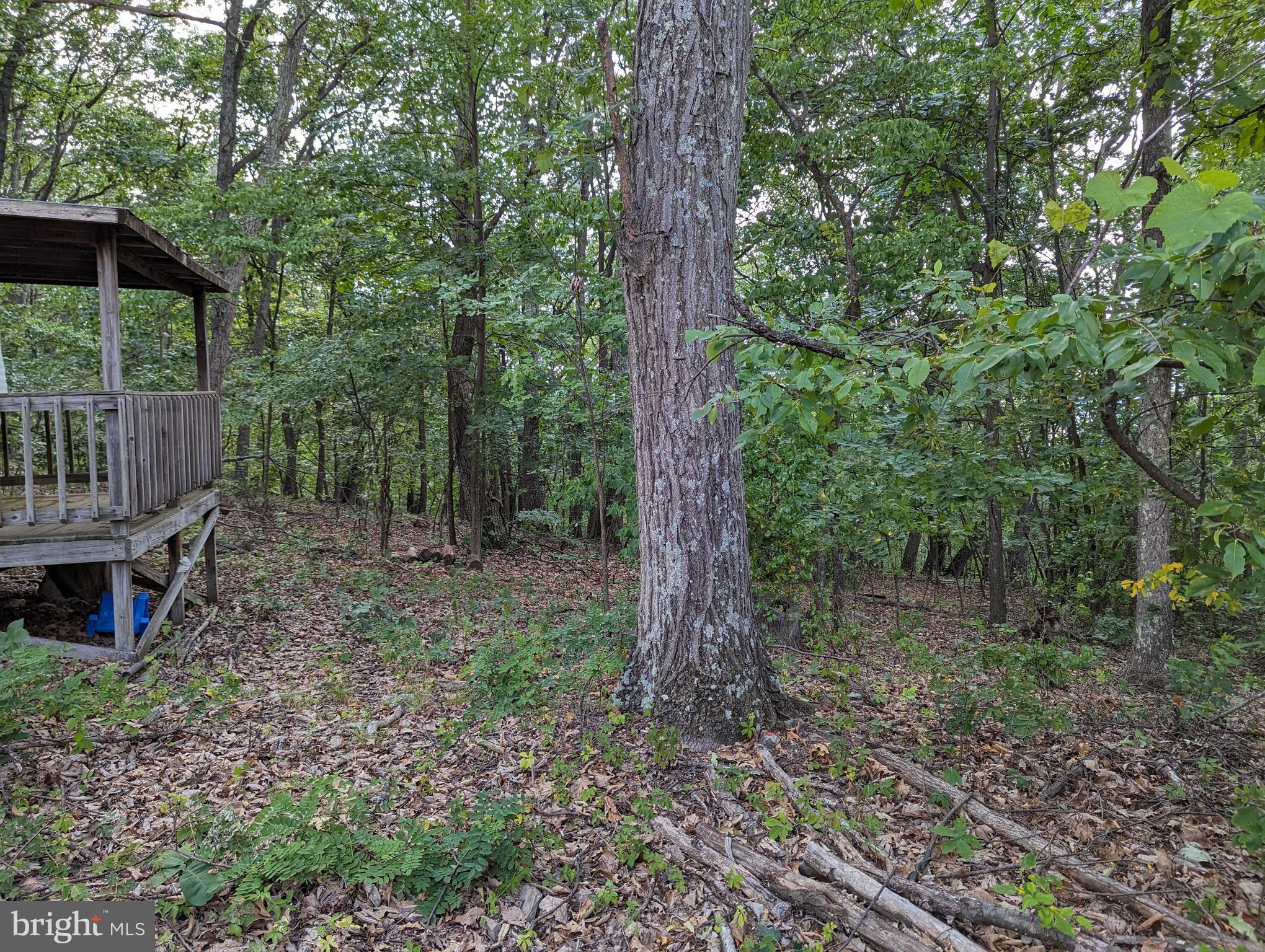 WOODLAND ESTATES - Land