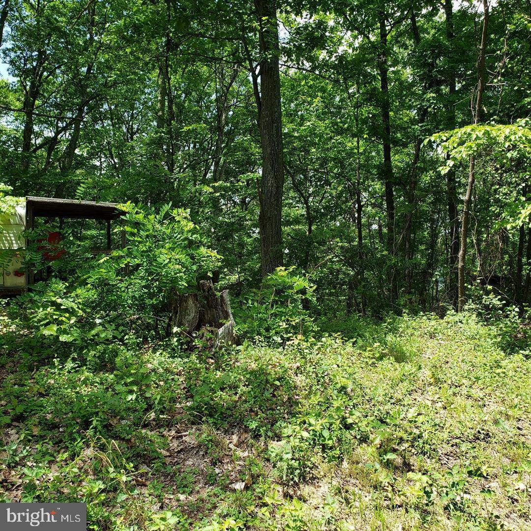 WOODLAND ESTATES - Land