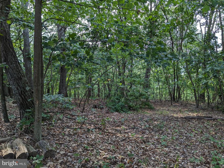 Come to Wild, Wonderful West Virginia.  Woodland Estates lot 73 - 4.21 wooded mountain acres. If you want an off- grid place to get away this is it! No one will find you tucked away here. Easy access to Short Mountain Hunting Area from subdivision. There is electric to the property. No one will find you tucked away here. Property is being sold as is including camper that needs rehab or removal.  The roads are rough, AWD or 4WD recommended. Sign on property.