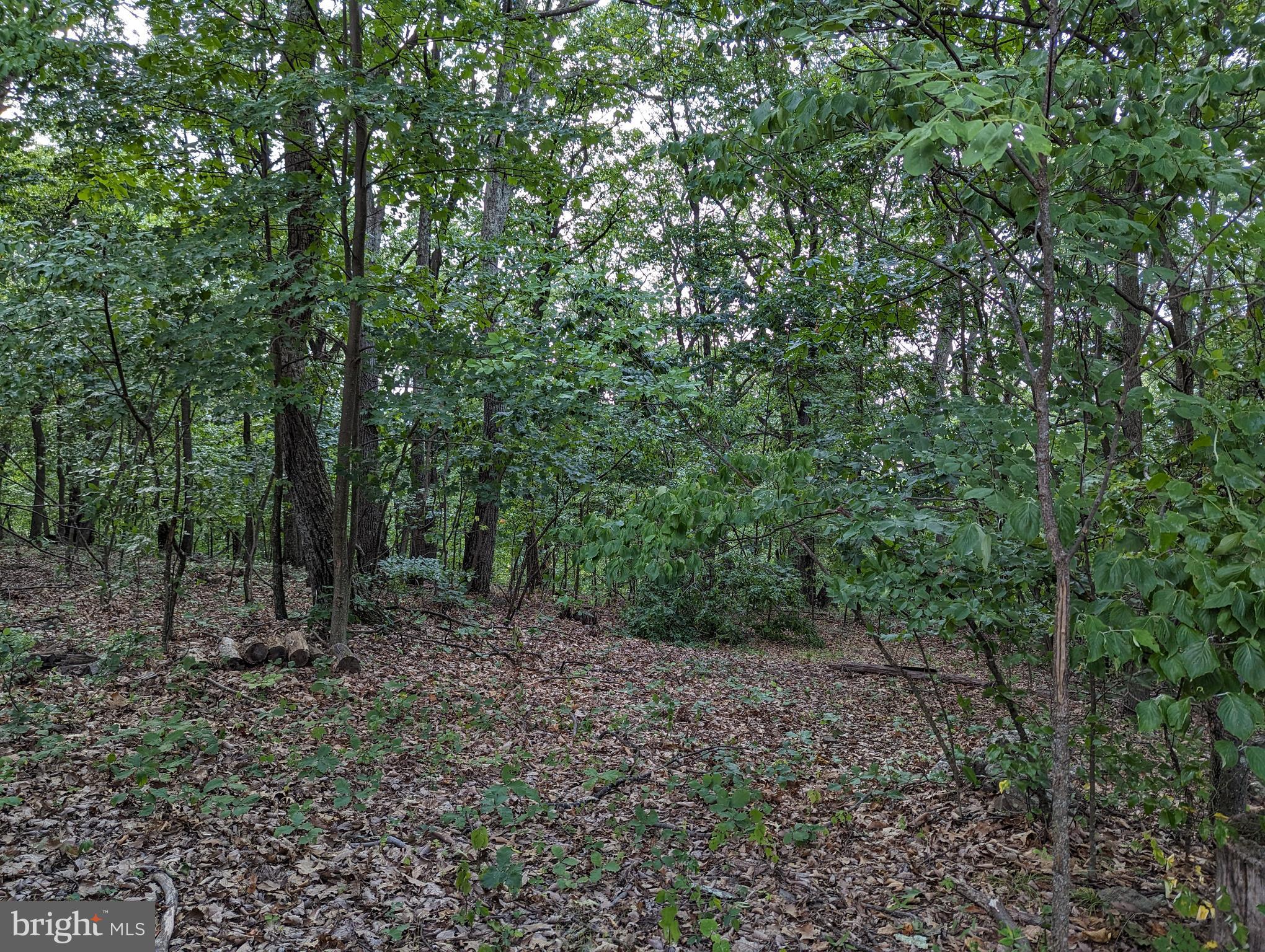 WOODLAND ESTATES - Land