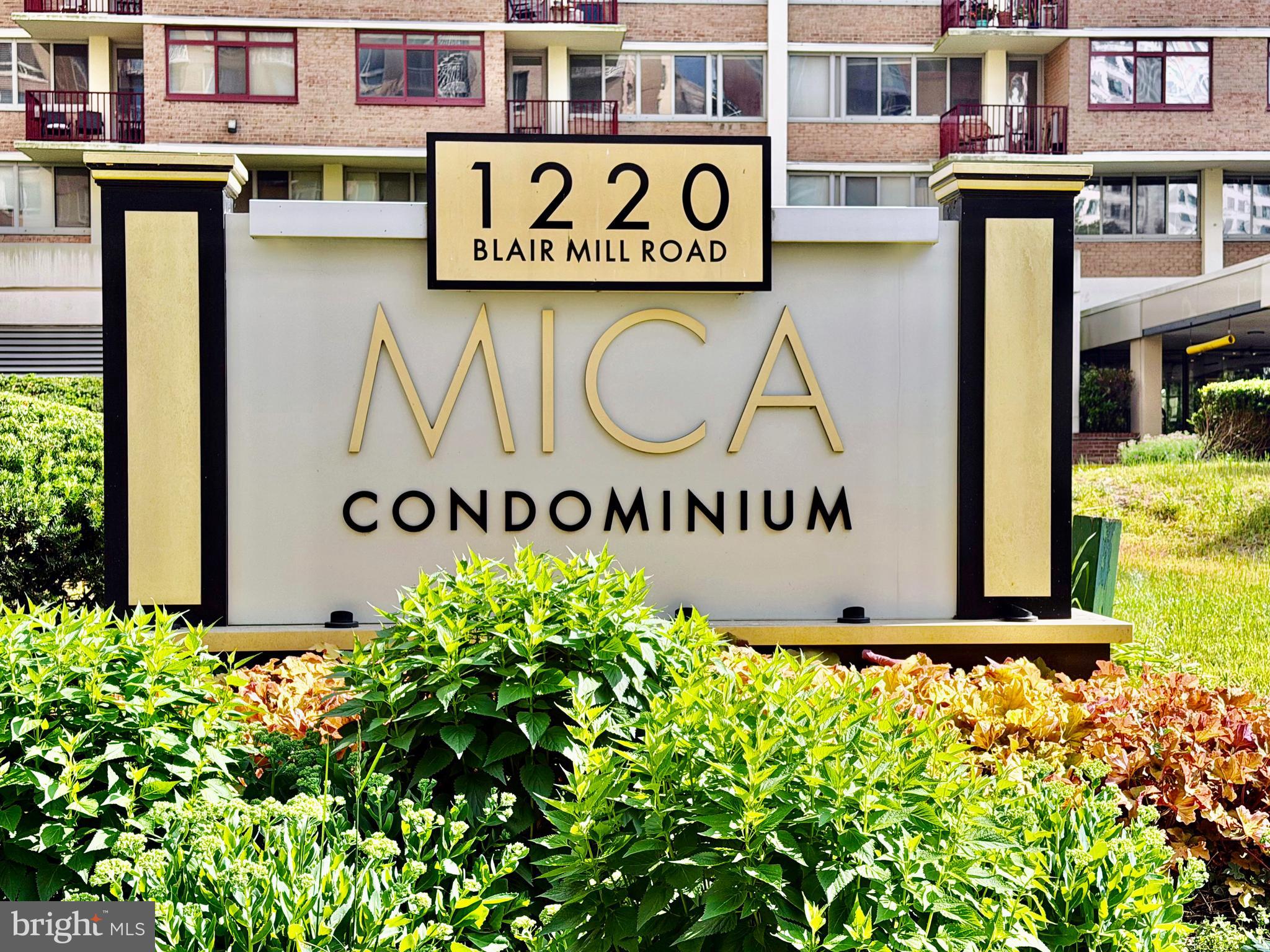 MICA AT SILVER SPRING METRO - Residential