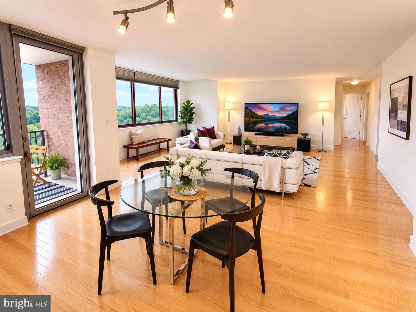 MICA AT SILVER SPRING METRO - Residential