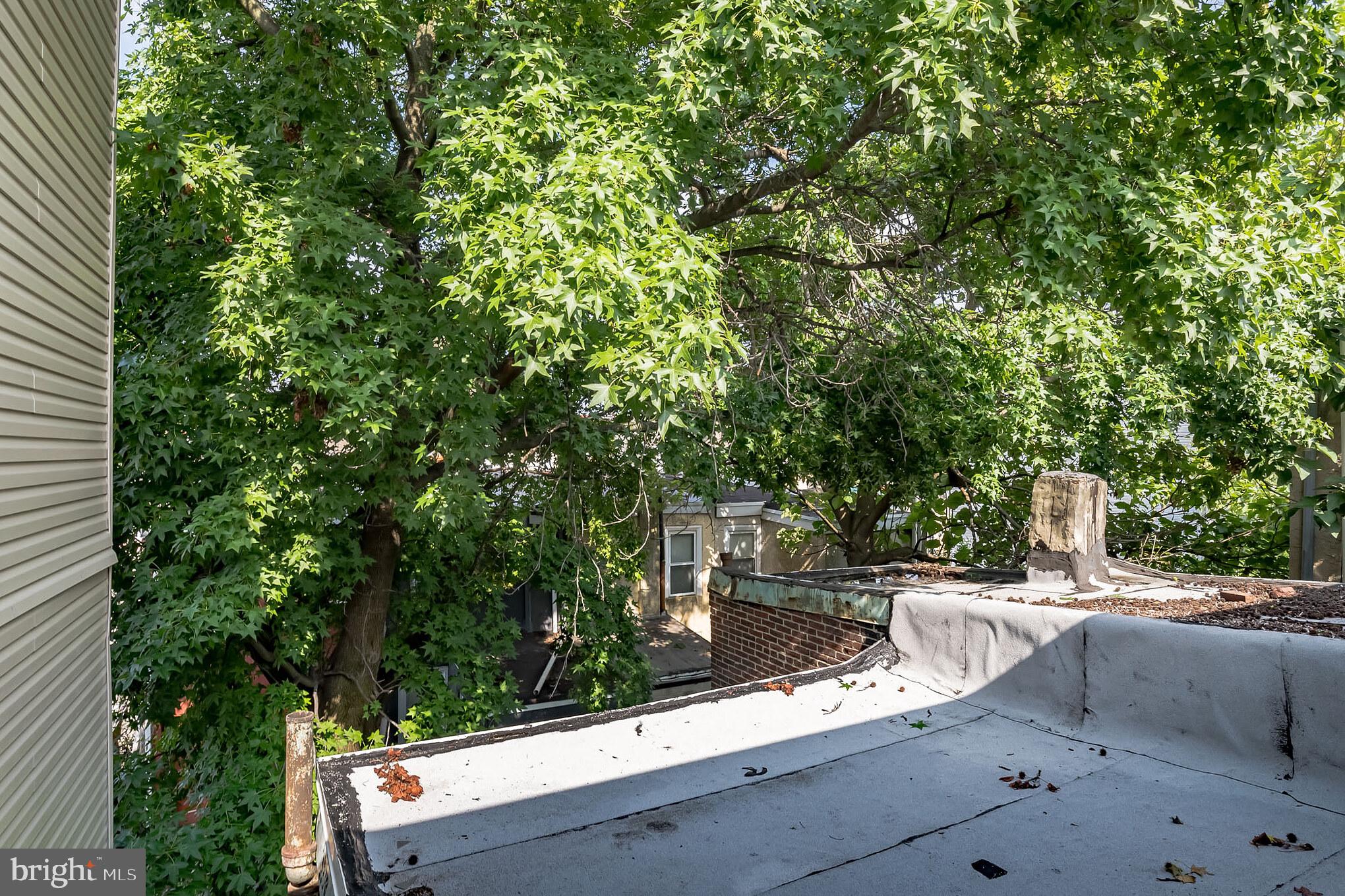 WEST KENSINGTON - Residential