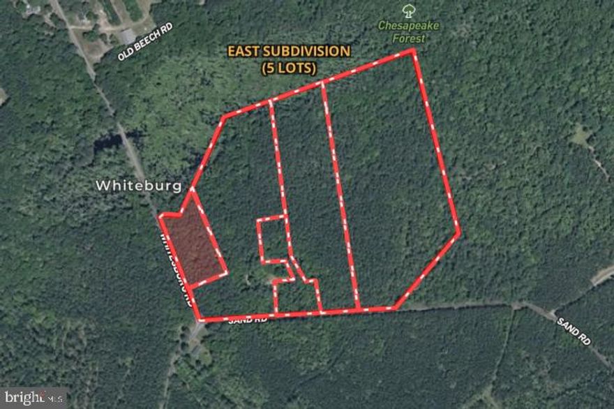 2.82+/- acre lot located on Whitesburg Road in Worcester County, MD. Lot 1 has an approved perc and is ready to build. Please view the survey provided in documents to see the location of approved septic area. There are three other approved lots available in this subdivision.   Covenants and restrictions have been recorded and are available in documents section or through the listing agent. Call listing agent prior to visiting property.