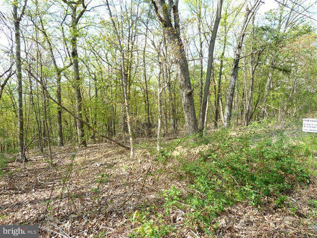 BRYCE MTN SKI AND C CLUB - Land