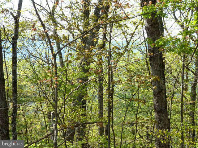 BRYCE MTN SKI AND C CLUB - Land