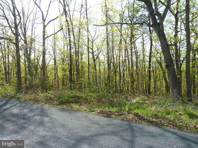 BRYCE MTN SKI AND C CLUB - Land