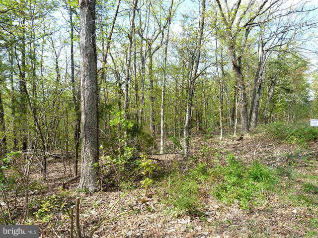 BRYCE MTN SKI AND C CLUB - Land