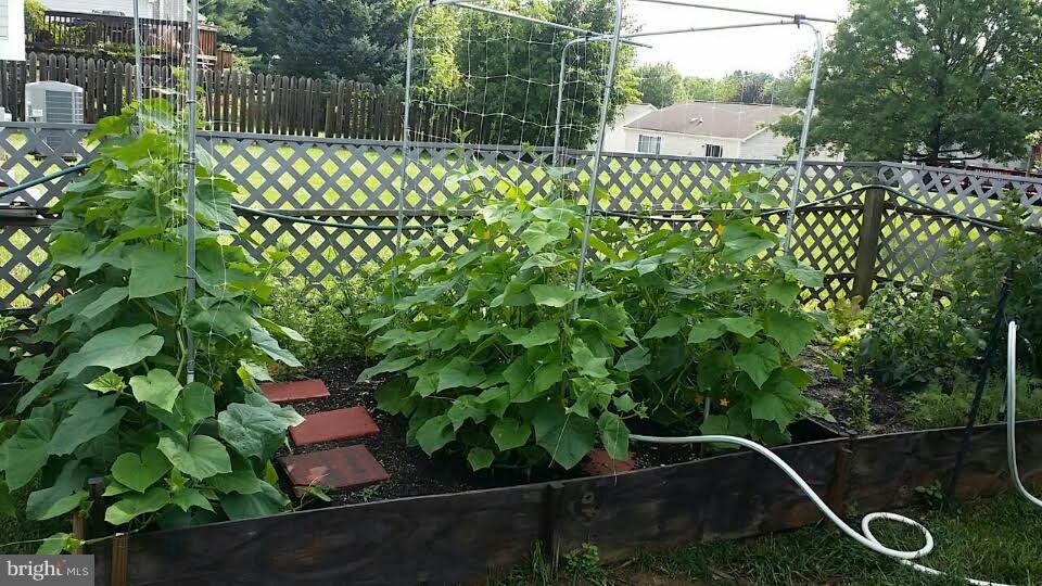 TIMBER GROVE - Residential