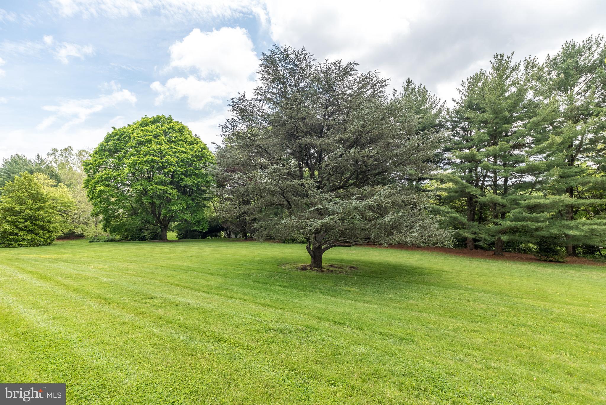 SPRING VALLEY - Land