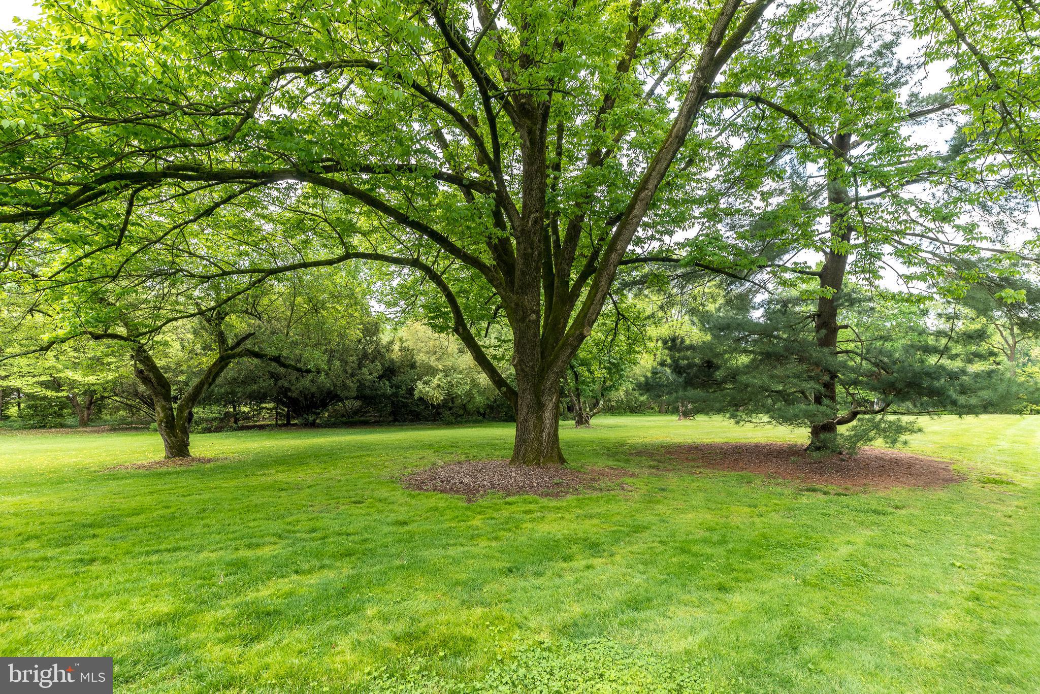 SPRING VALLEY - Land